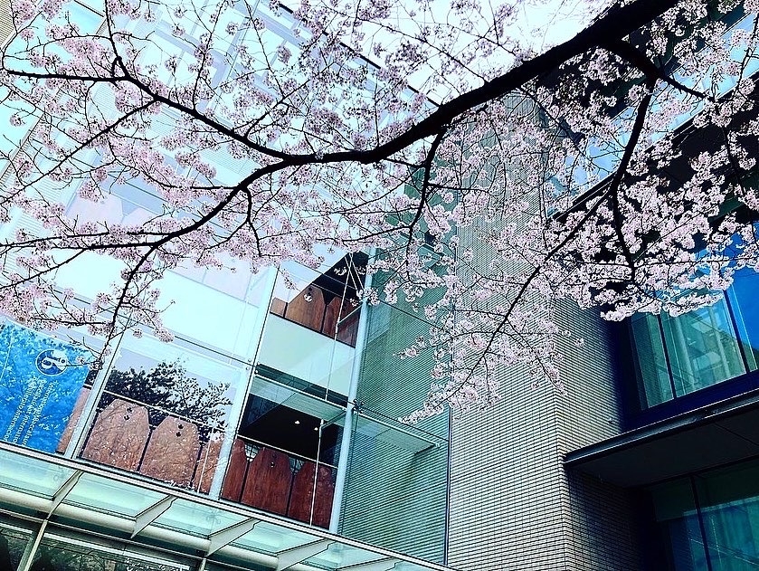文部科学省WWL事業採択のお知らせ
