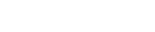 名古屋国際中学・高等学校ロゴ
