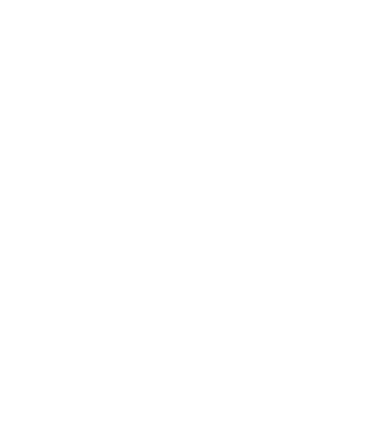 名古屋国際中学・高等学校ロゴ